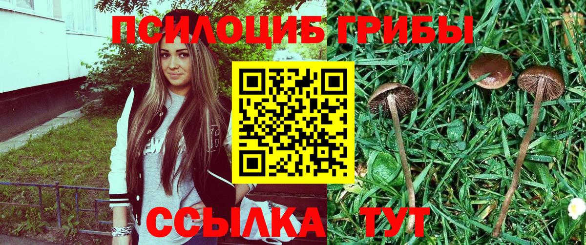 Галлюциногенные грибы Psilocybe  Вход с VPN  Калининград 